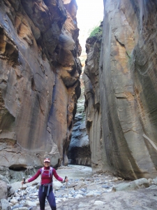 Hiking the Narrows through the Virgin River